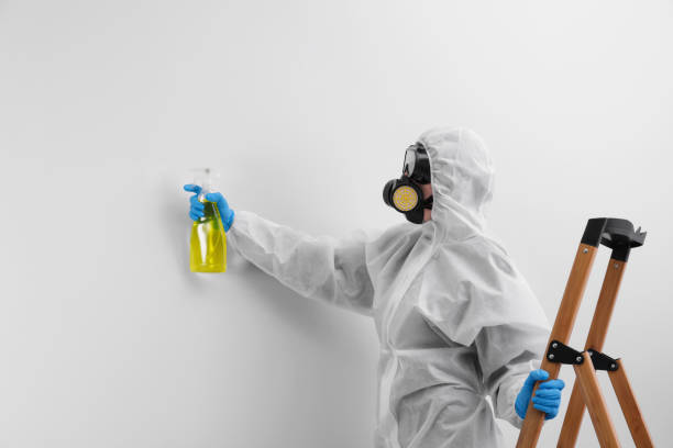 Why You Should Choose Our Mold Remediation Services in Upland, PA